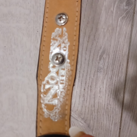 Noosa - Picture 4 of 7